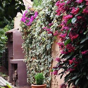 https://casa-luly.in-canary-islands.com
